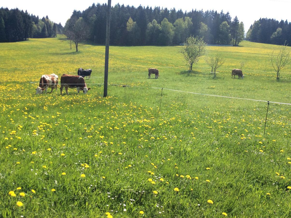 Vila Ferienbauernhof Koller Helfenberg Exteriér fotografie