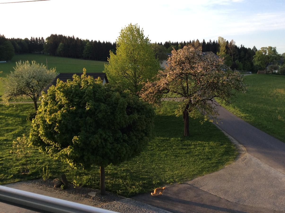 Vila Ferienbauernhof Koller Helfenberg Exteriér fotografie