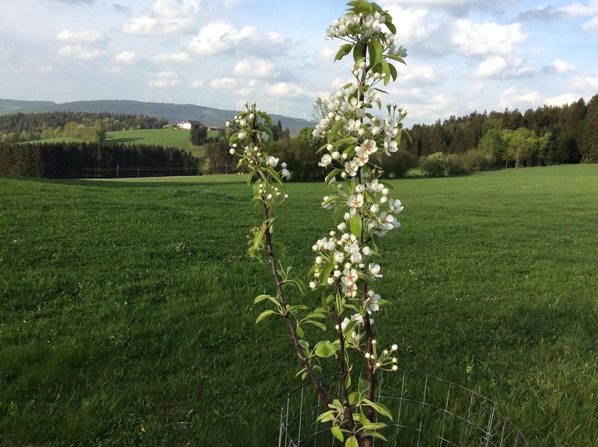 Vila Ferienbauernhof Koller Helfenberg Exteriér fotografie