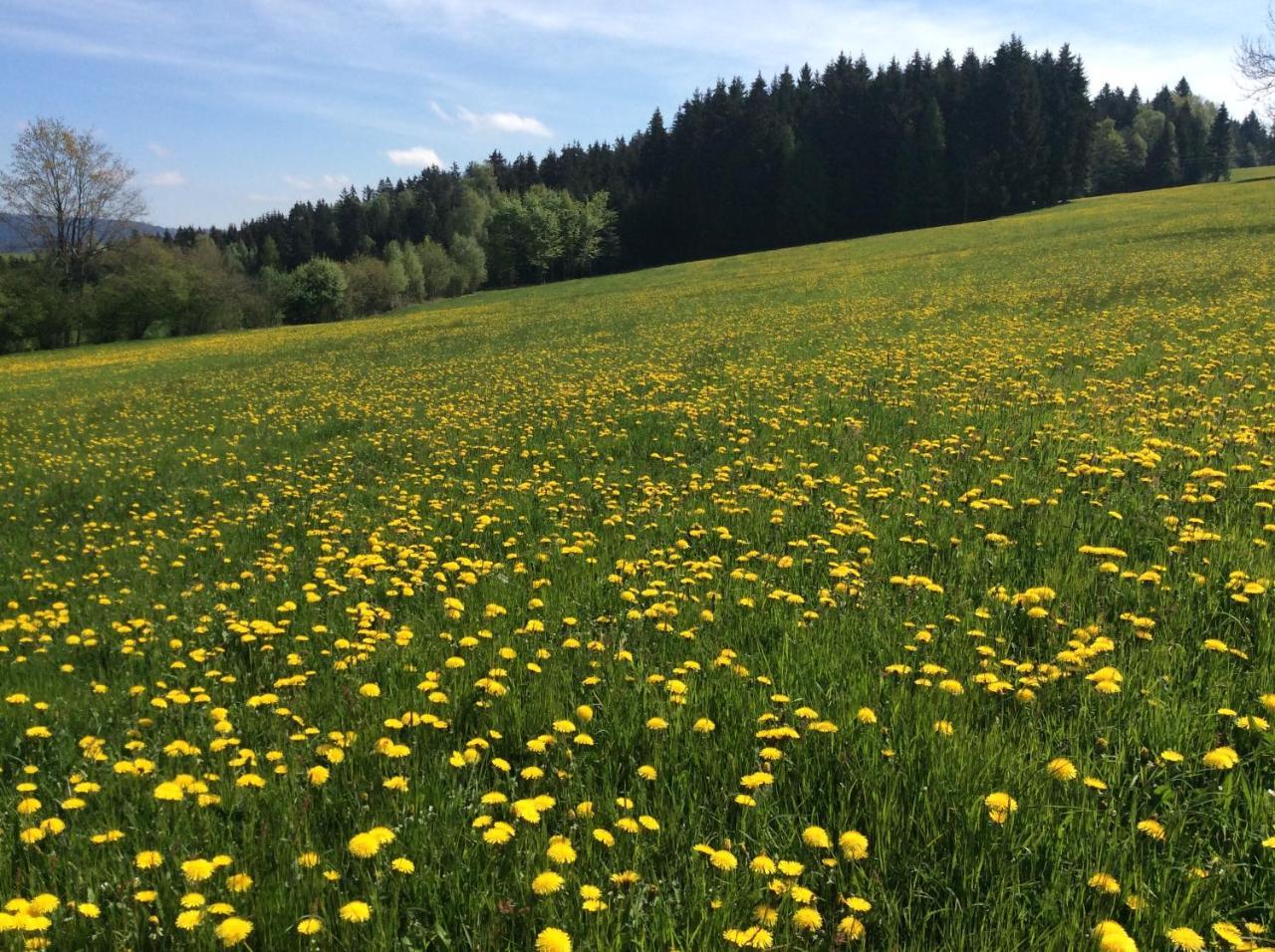 Vila Ferienbauernhof Koller Helfenberg Exteriér fotografie