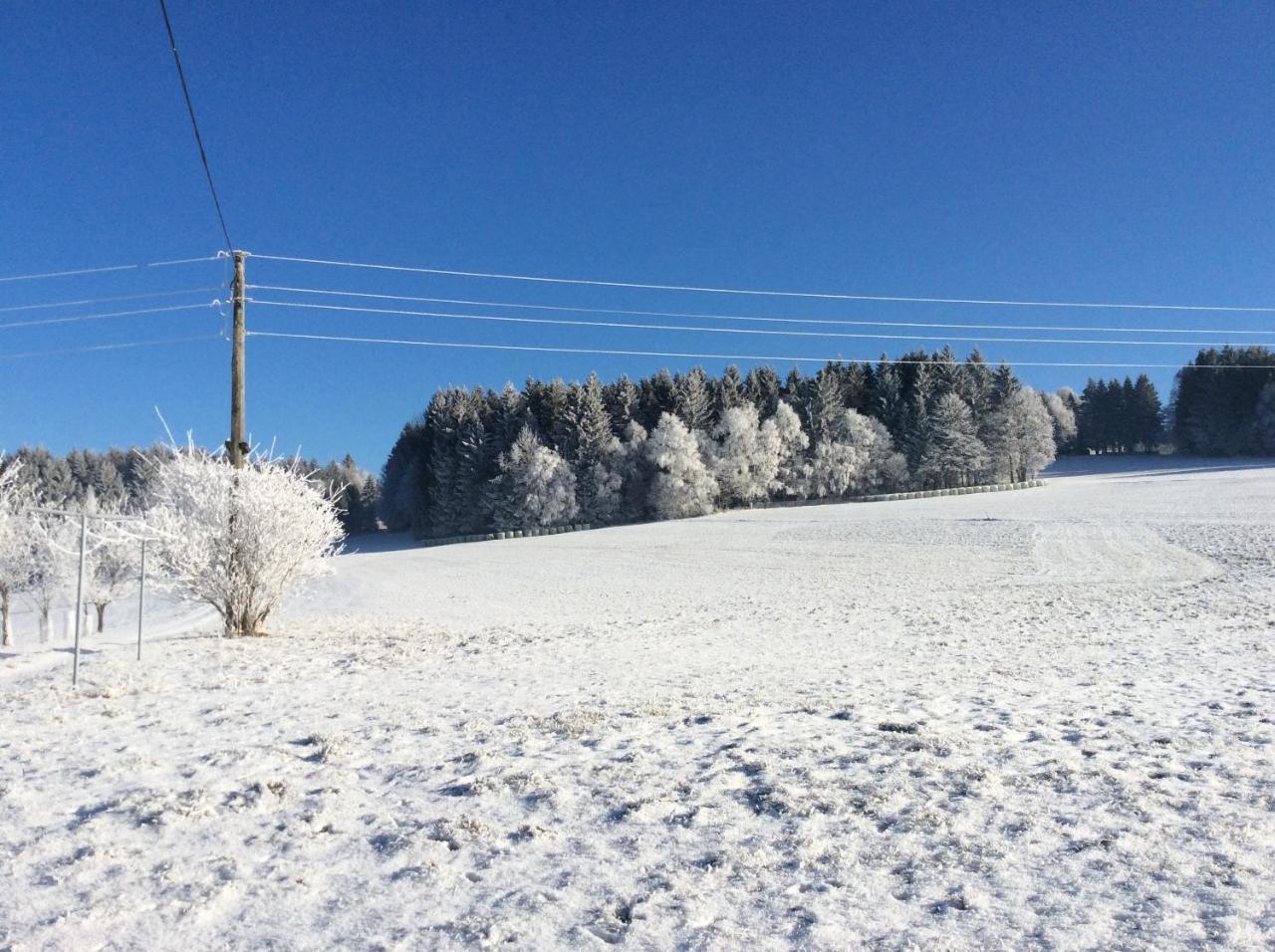 Vila Ferienbauernhof Koller Helfenberg Exteriér fotografie